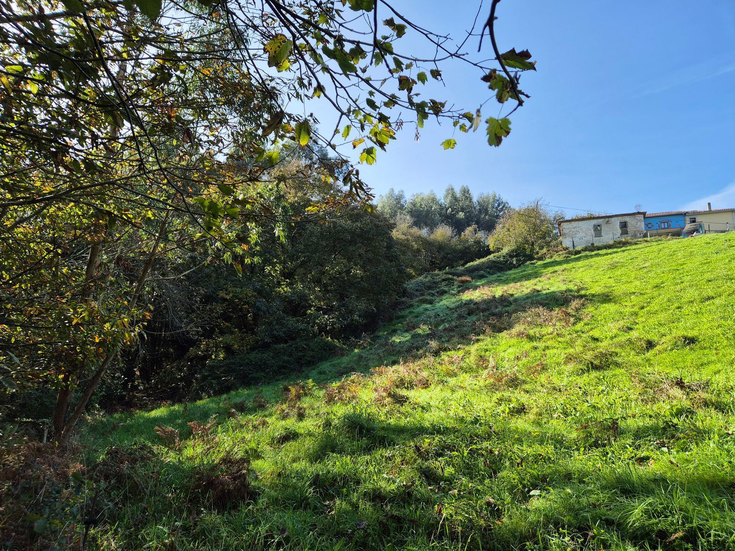 Fincas y solares-Venta-Cudillero-1653404-Foto-22