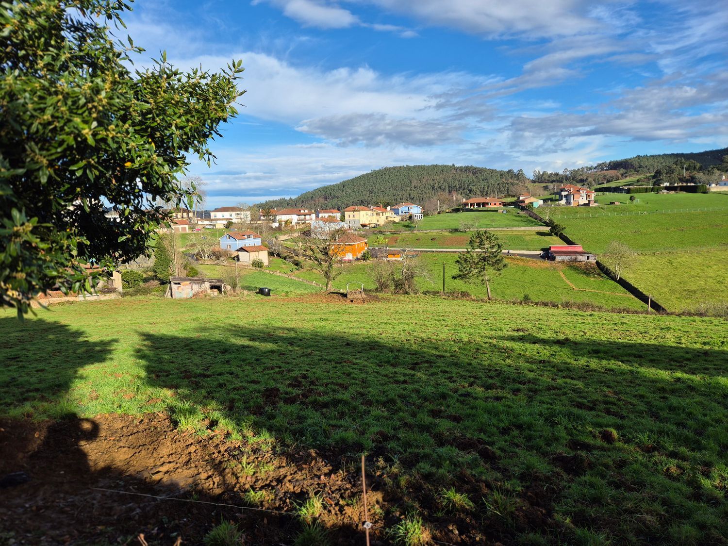 Fincas y solares-Venta-Cudillero-1653404-Foto-31
