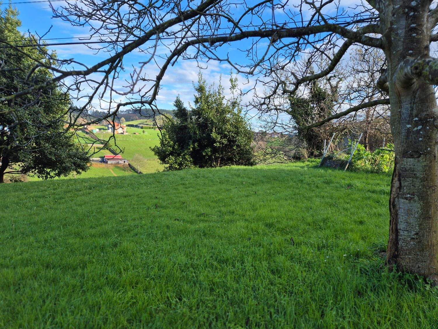 Fincas y solares-Venta-Cudillero-1653404-Foto-28