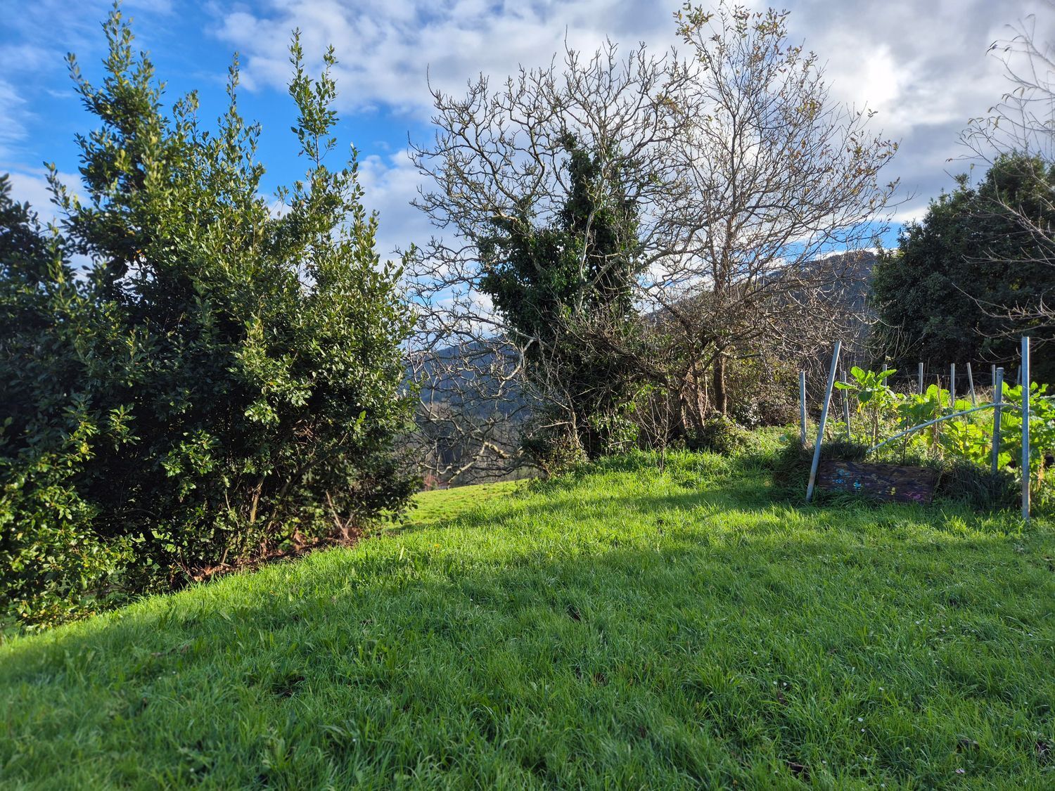 Fincas y solares-Venta-Cudillero-1653404-Foto-29