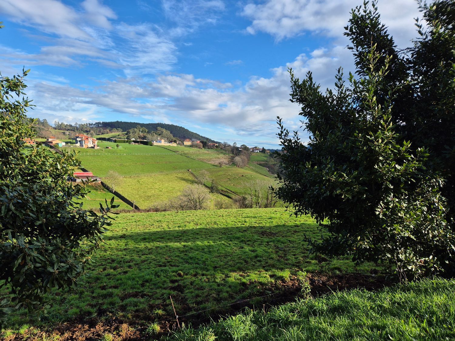 Fincas y solares-Venta-Cudillero-1653404-Foto-30