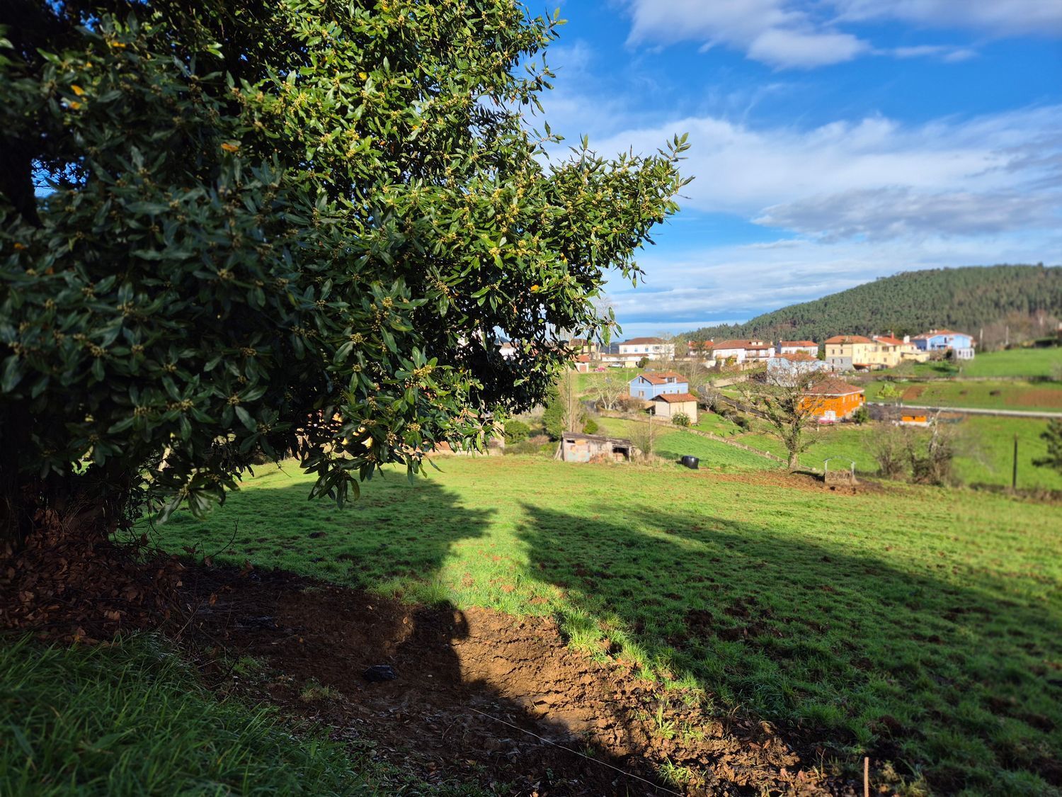 Fincas y solares-Venta-Cudillero-1653404-Foto-32