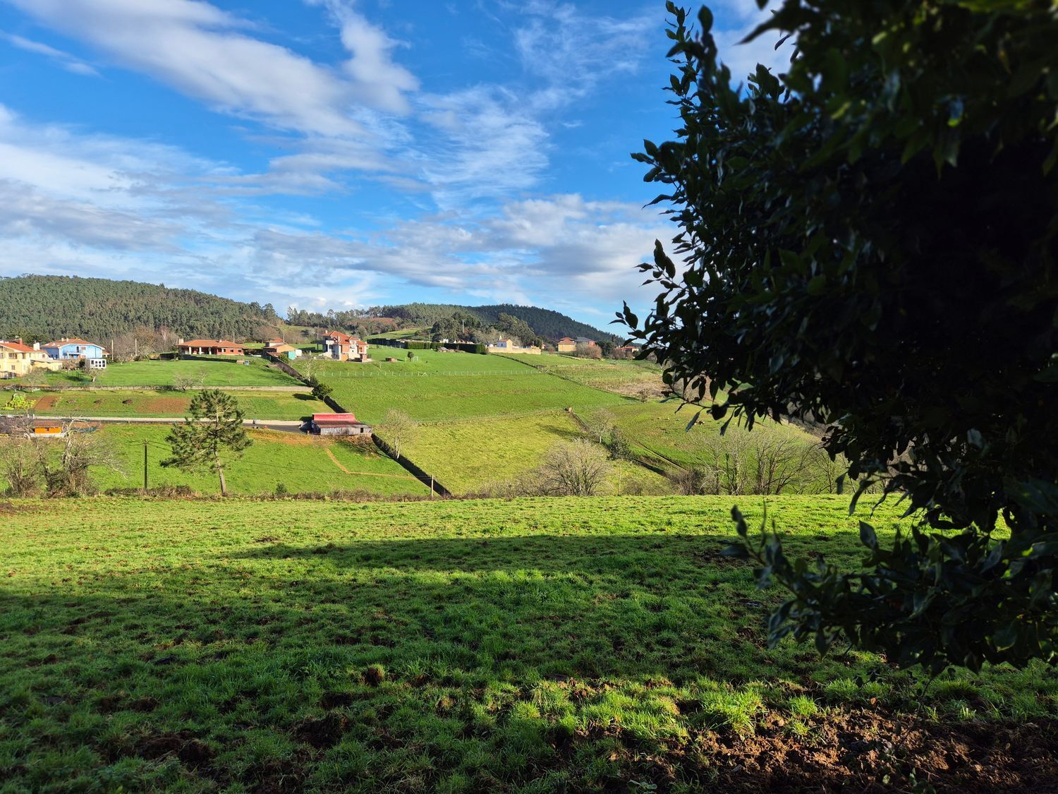 Fincas y solares-Venta-Cudillero-1653404-Foto-33