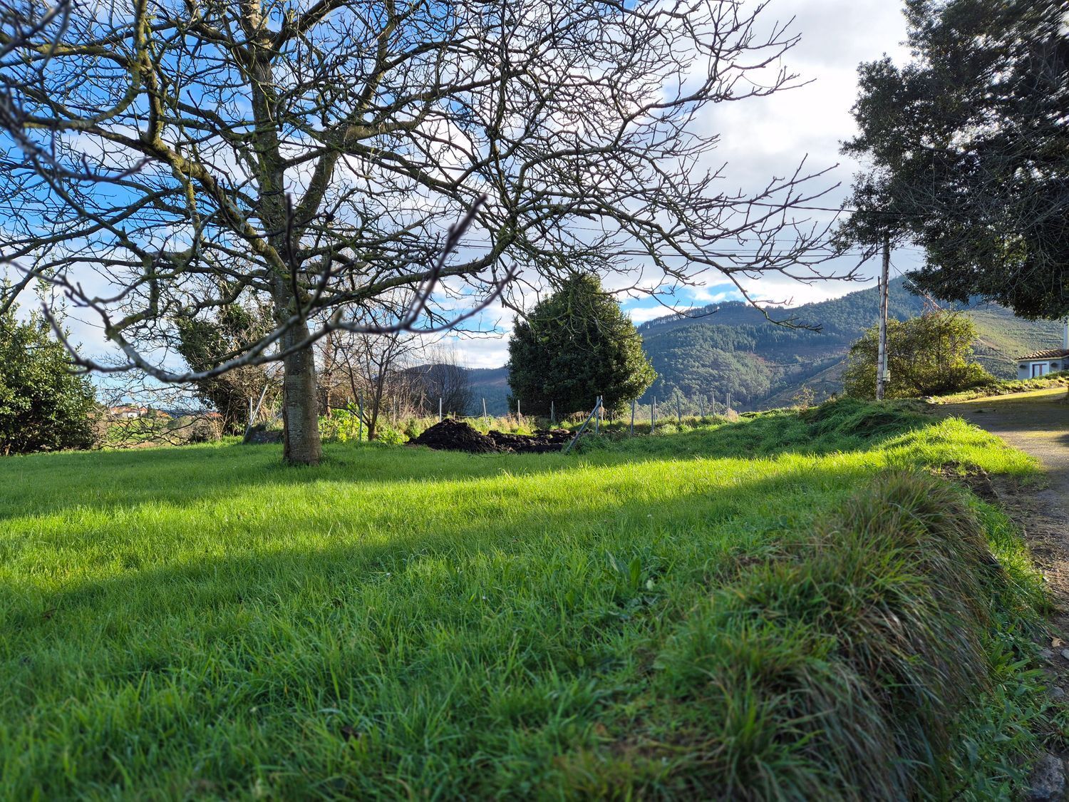 Fincas y solares-Venta-Cudillero-1653404-Foto-39