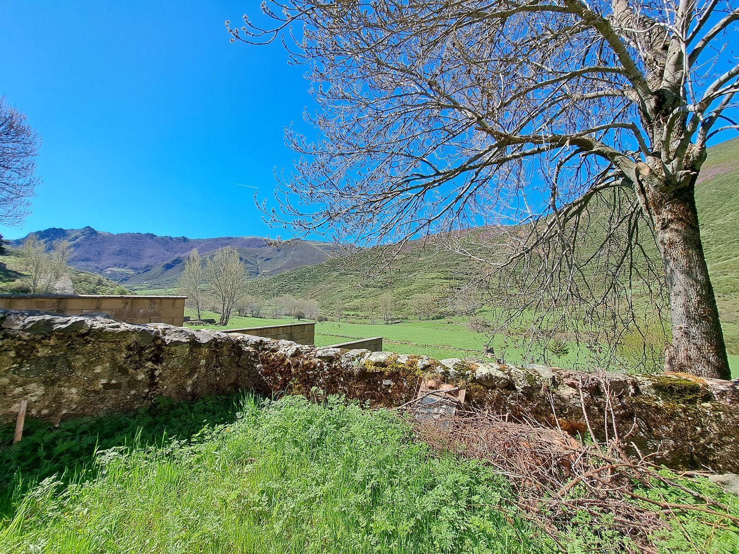 Casas o chalets-Venta-CÃ¡rmenes-1080517-Foto-4