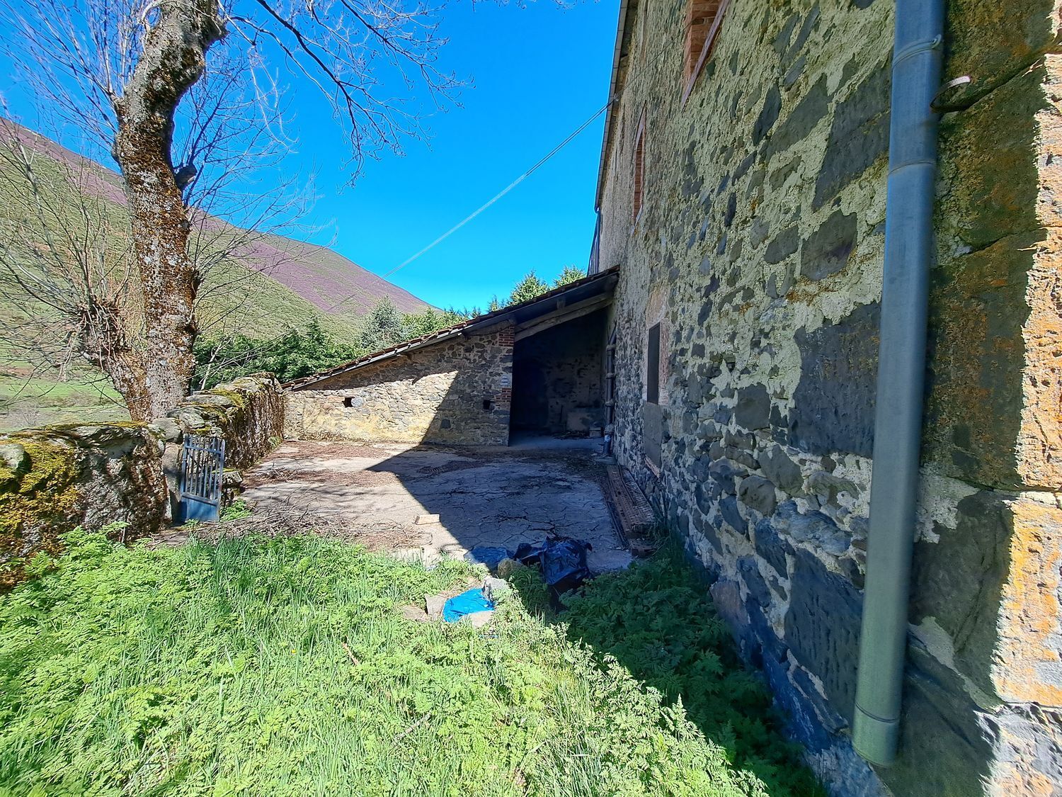 Casas o chalets-Venta-CÃ¡rmenes-1080517-Foto-27