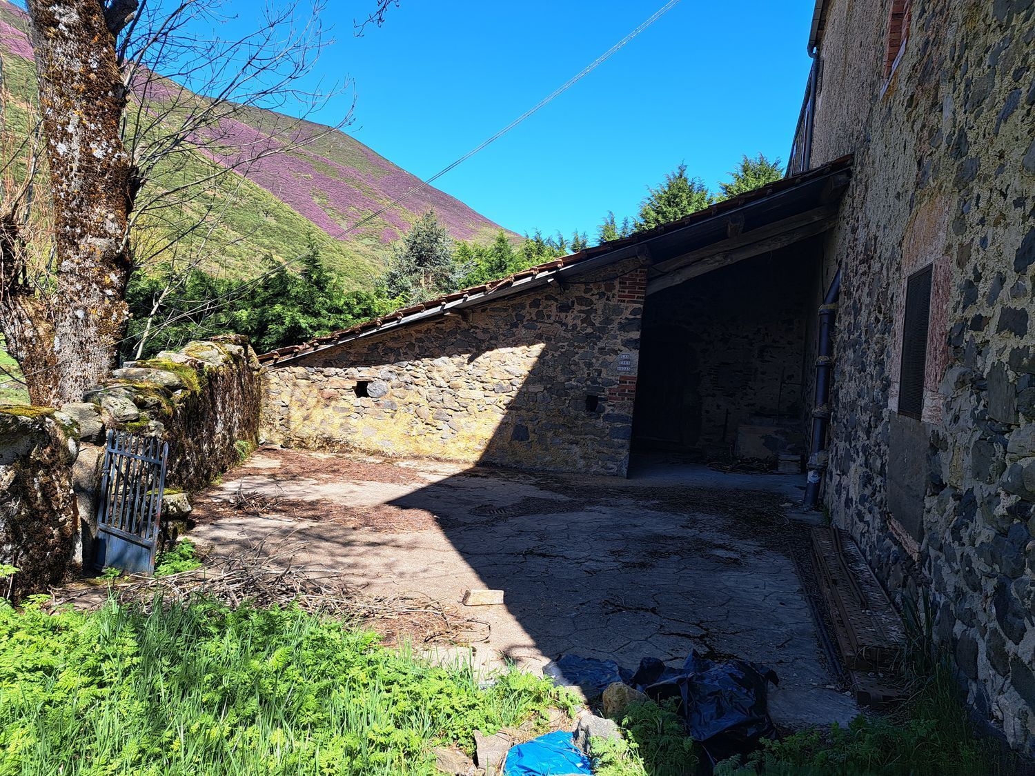 Casas o chalets-Venta-CÃ¡rmenes-1080517-Foto-29