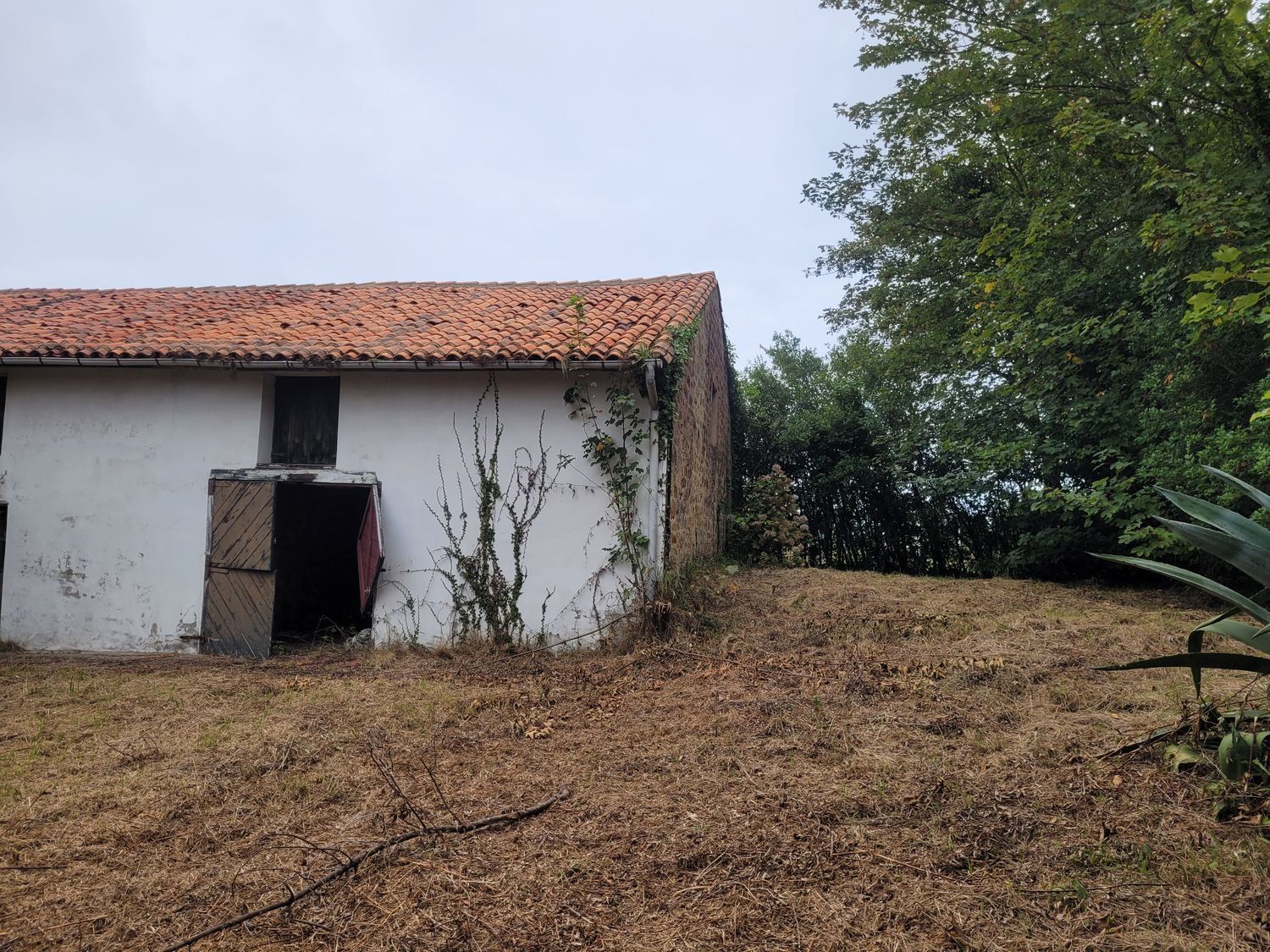 Casas o chalets-Venta-Villaviciosa-888745-Foto-6