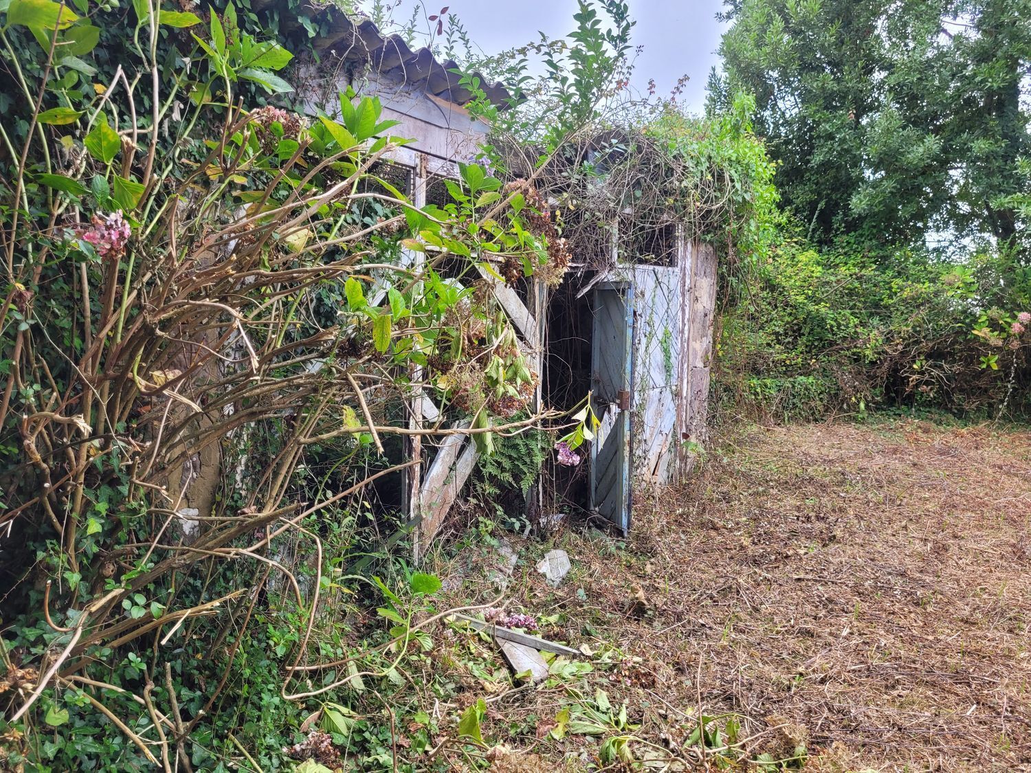 Casas o chalets-Venta-Villaviciosa-888745-Foto-5