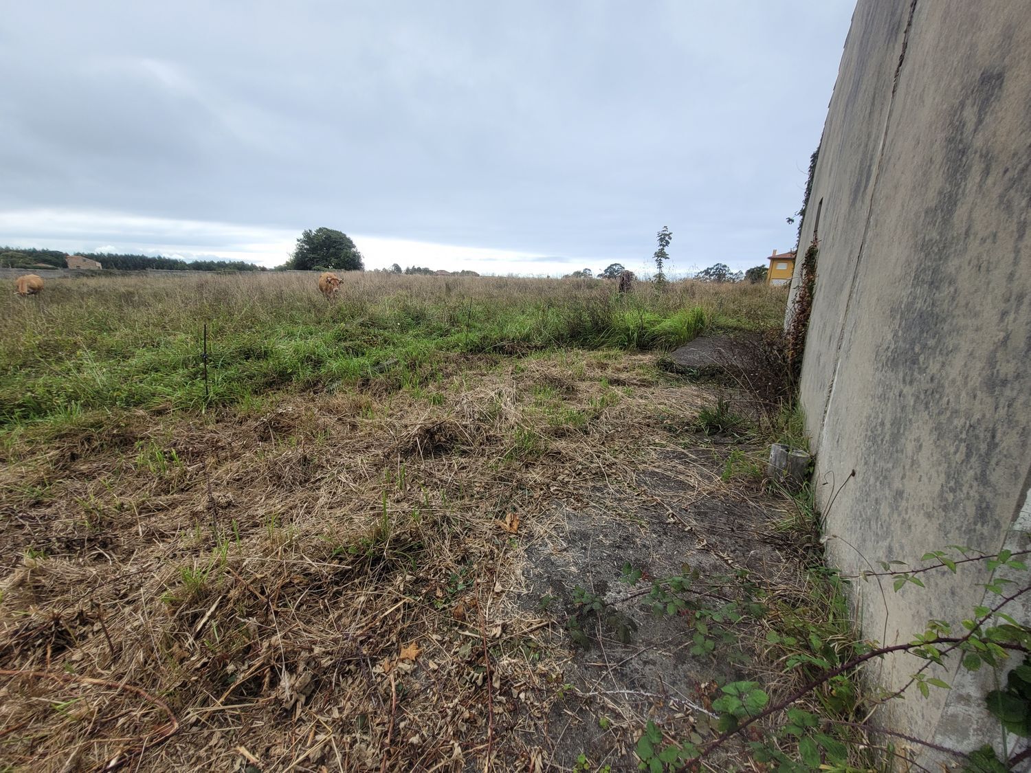 Casas o chalets-Venta-Villaviciosa-888745-Foto-13