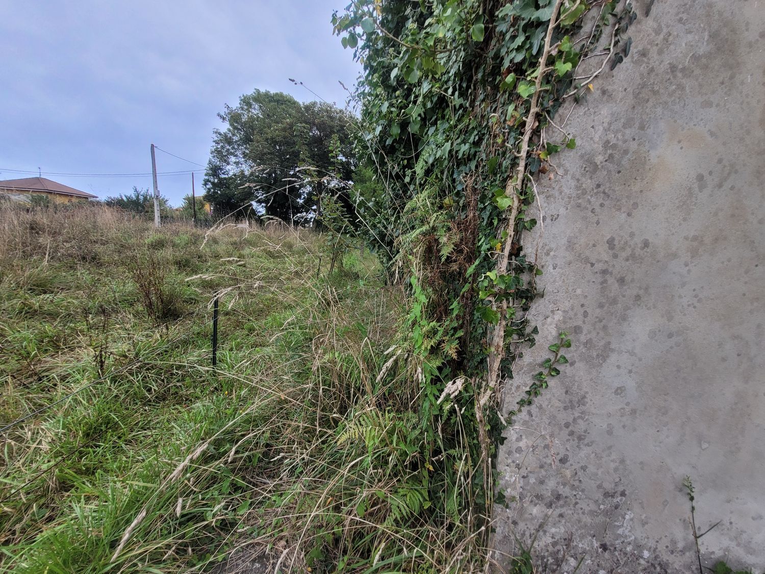 Casas o chalets-Venta-Villaviciosa-888745-Foto-14