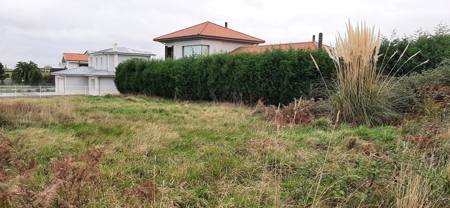 Fincas y solares-Venta-CastrillÃ³n-744214-Foto-9