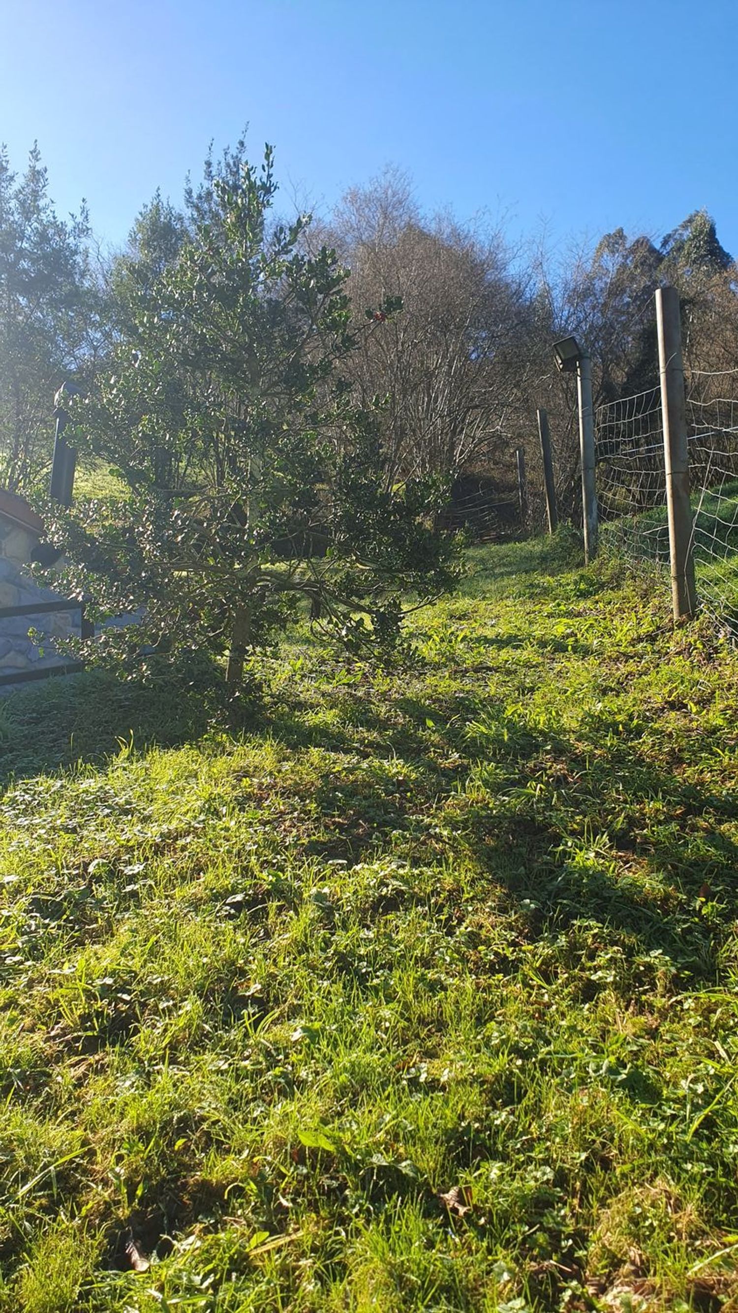 Casas o chalets-Venta-GijÃ³n-1638645-Foto-23