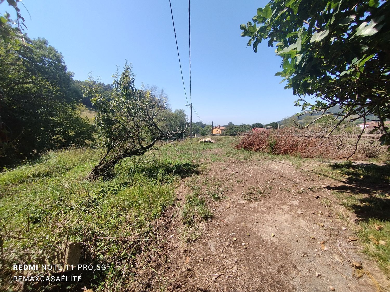 Fincas y solares-Venta-Siero-956369-Foto-5
