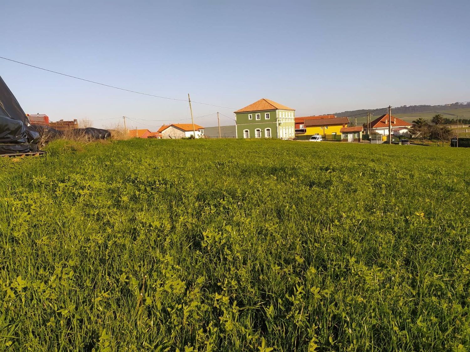 Fincas y solares-Venta-GozÃ³n-705659-Foto-2