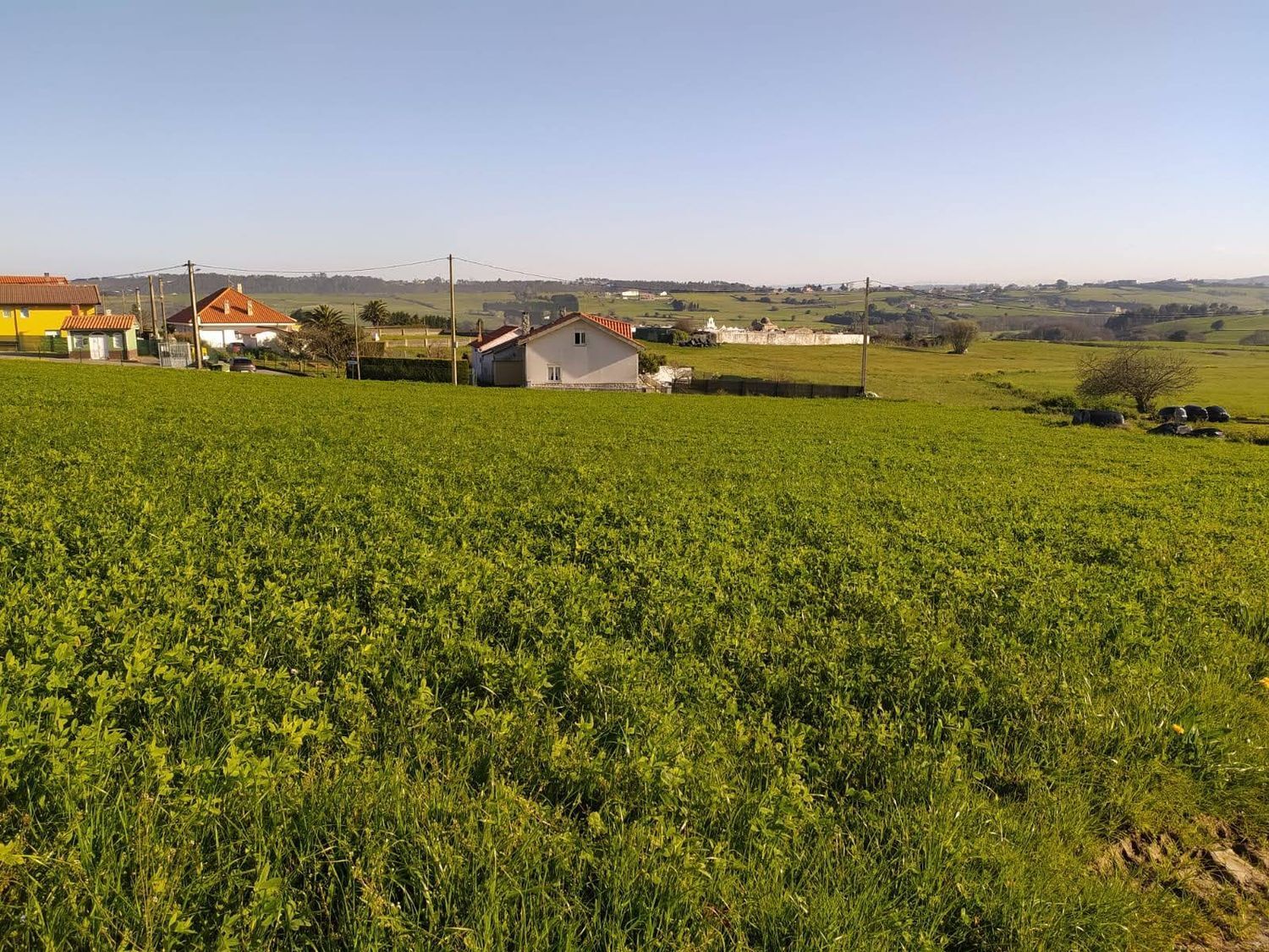 Fincas y solares-Venta-GozÃ³n-705659-Foto-6