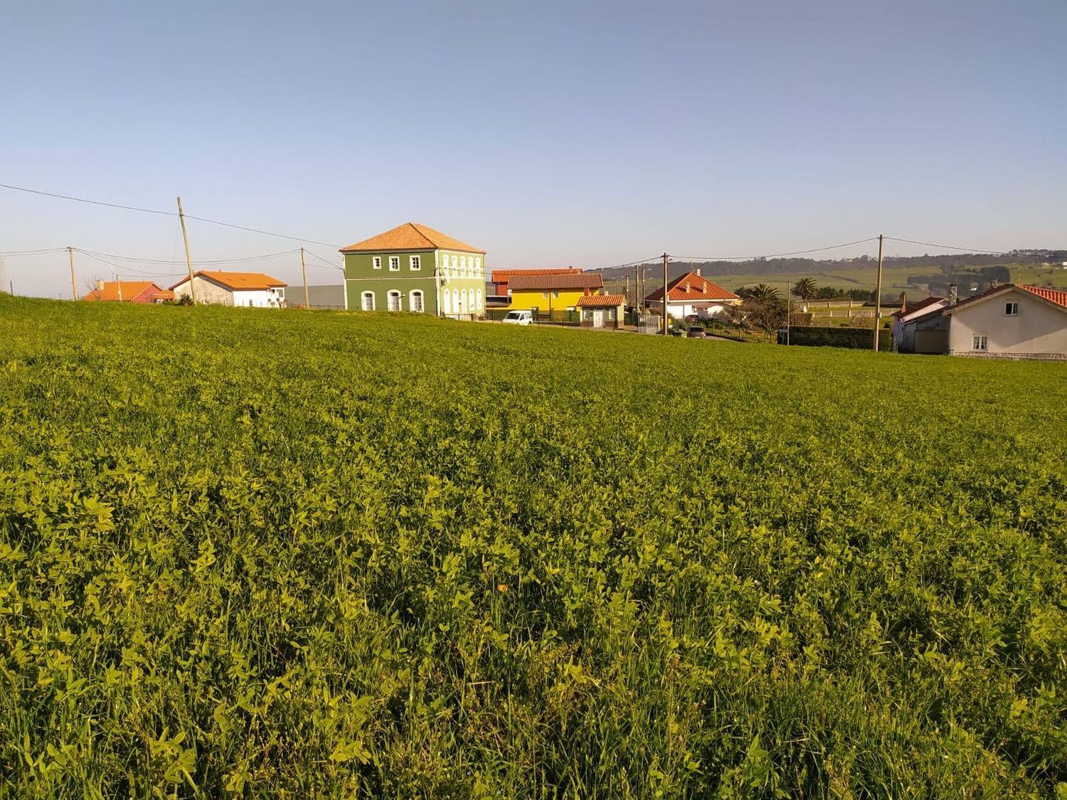 Fincas y solares-Venta-GozÃ³n-705659-Foto-9