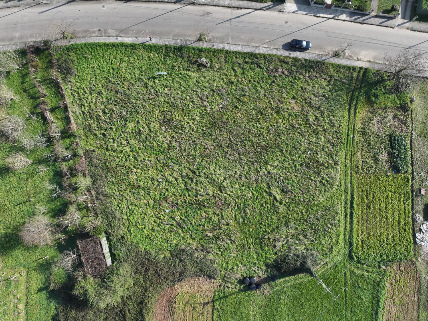 Fincas y solares-Venta-MondoÃ±edo-1048651-Foto-8