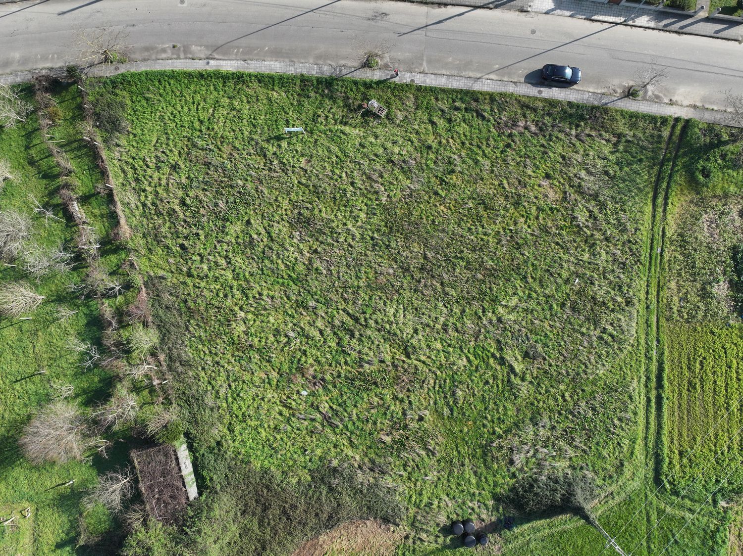 Fincas y solares-Venta-MondoÃ±edo-1048651-Foto-5