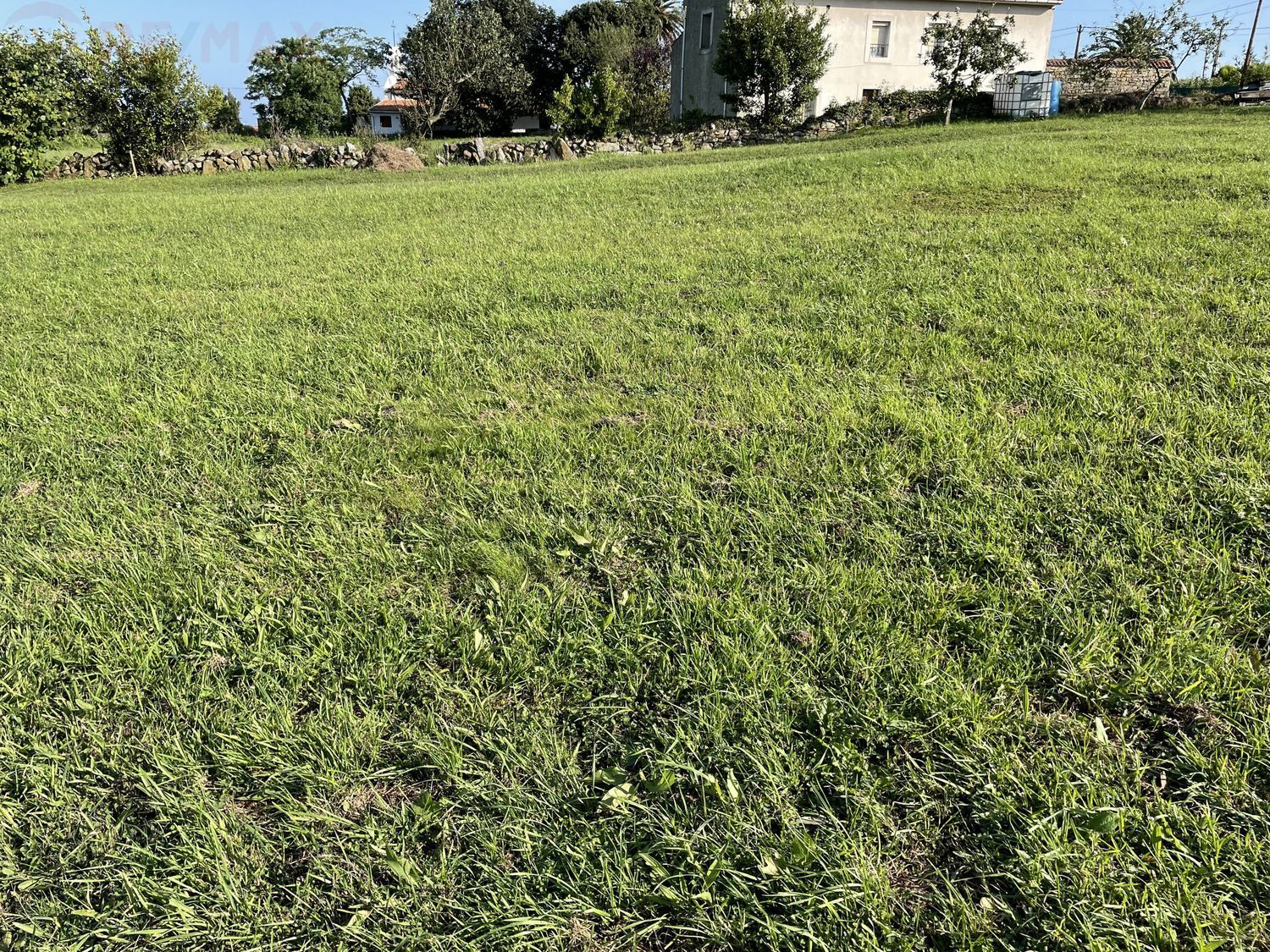 Fincas y solares-Venta-Villaviciosa-625126-Foto-5