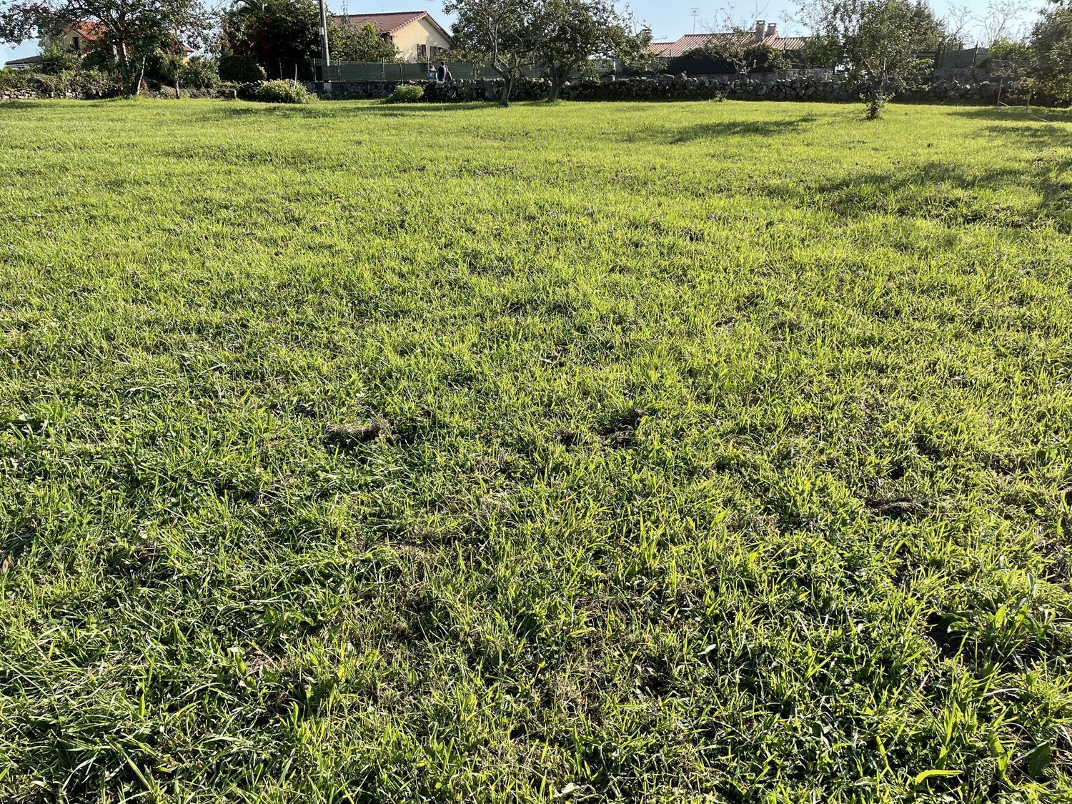 Fincas y solares-Venta-Villaviciosa-625126-Foto-4