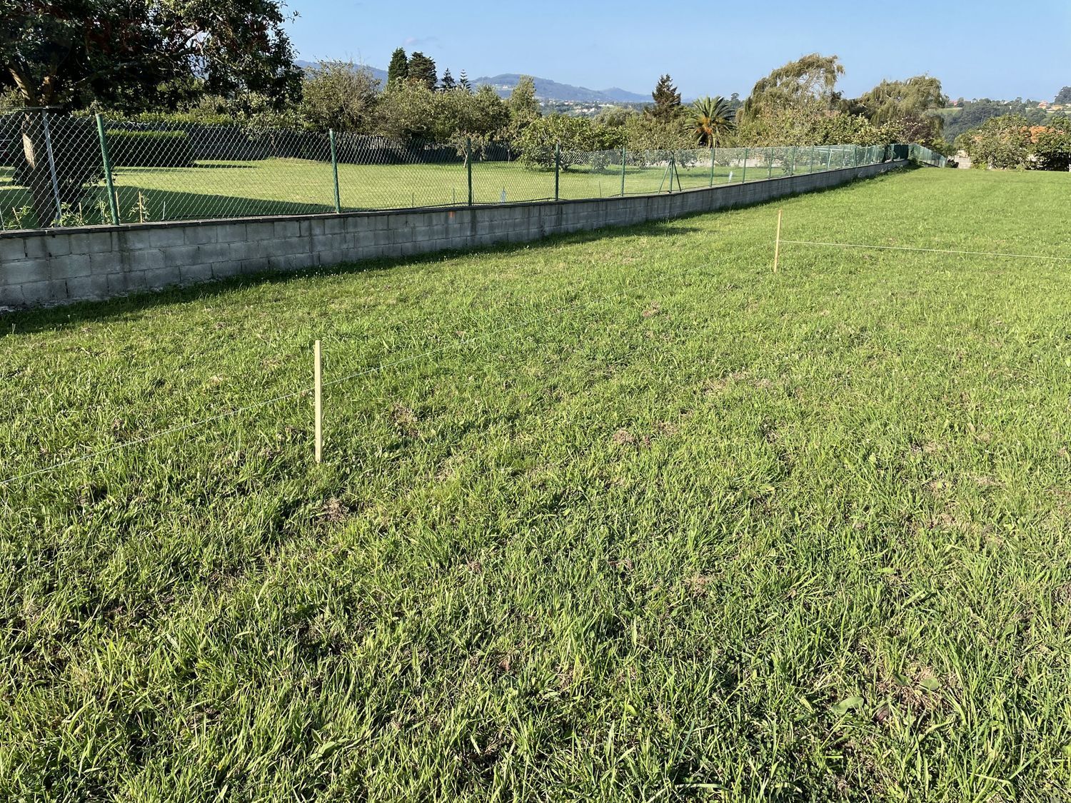 Fincas y solares-Venta-Villaviciosa-625126-Foto-10