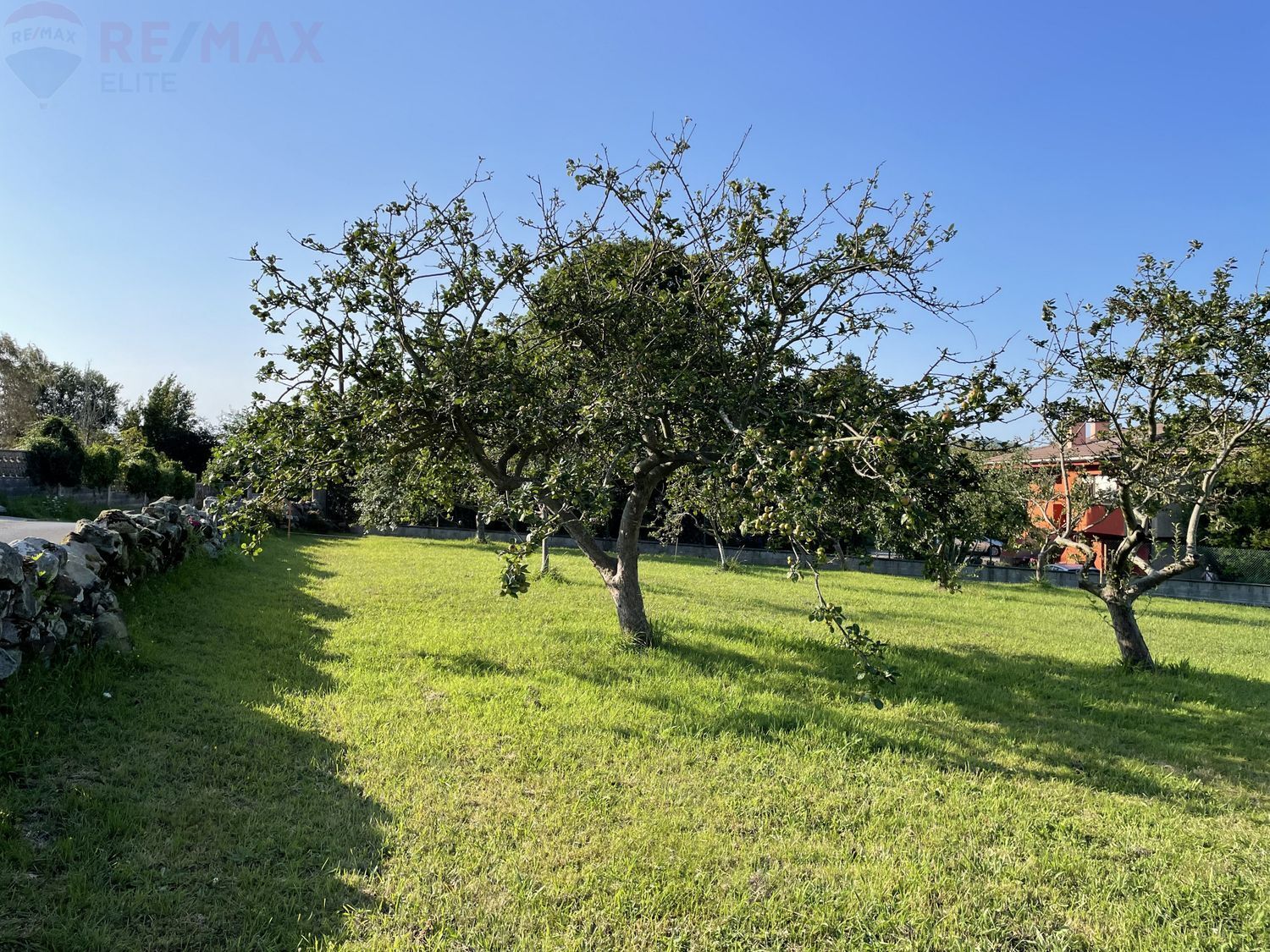 Fincas y solares-Venta-Villaviciosa-625126-Foto-30