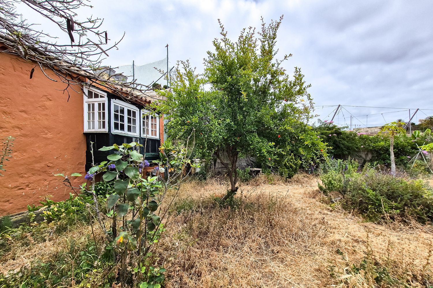 Casas o chalets-Venta-Arucas-1904762-Foto-33