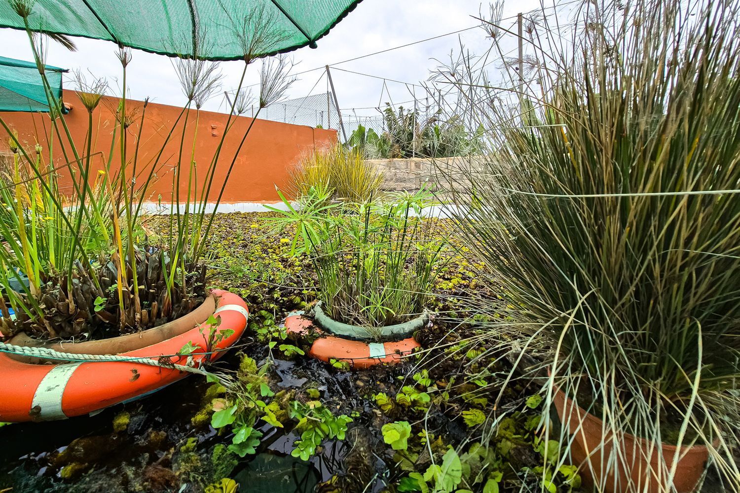 Casas o chalets-Venta-Arucas-1904762-Foto-37