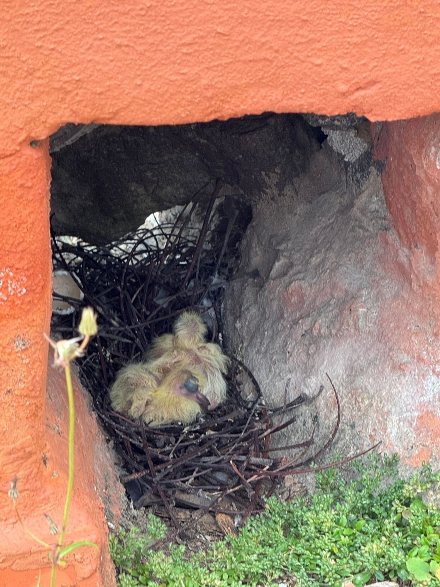 Casas o chalets-Venta-Arucas-1904762-Foto-39