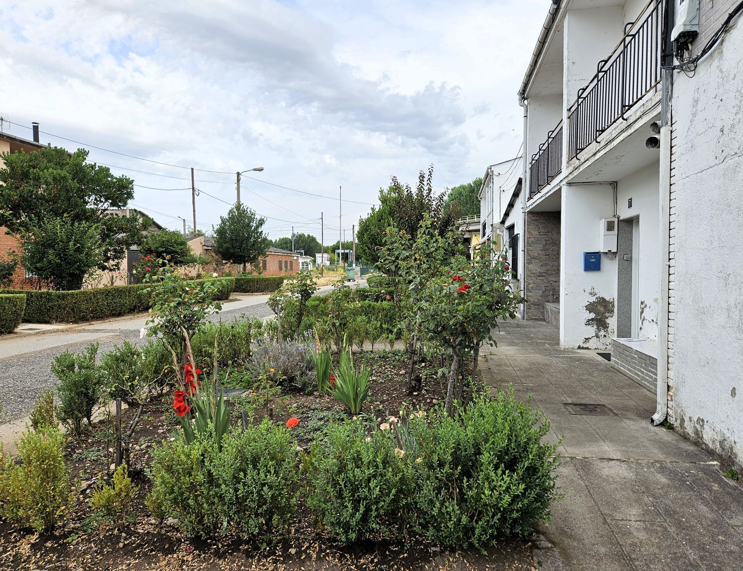 Casas o chalets-Venta-Carracedelo-1974860-Foto-5