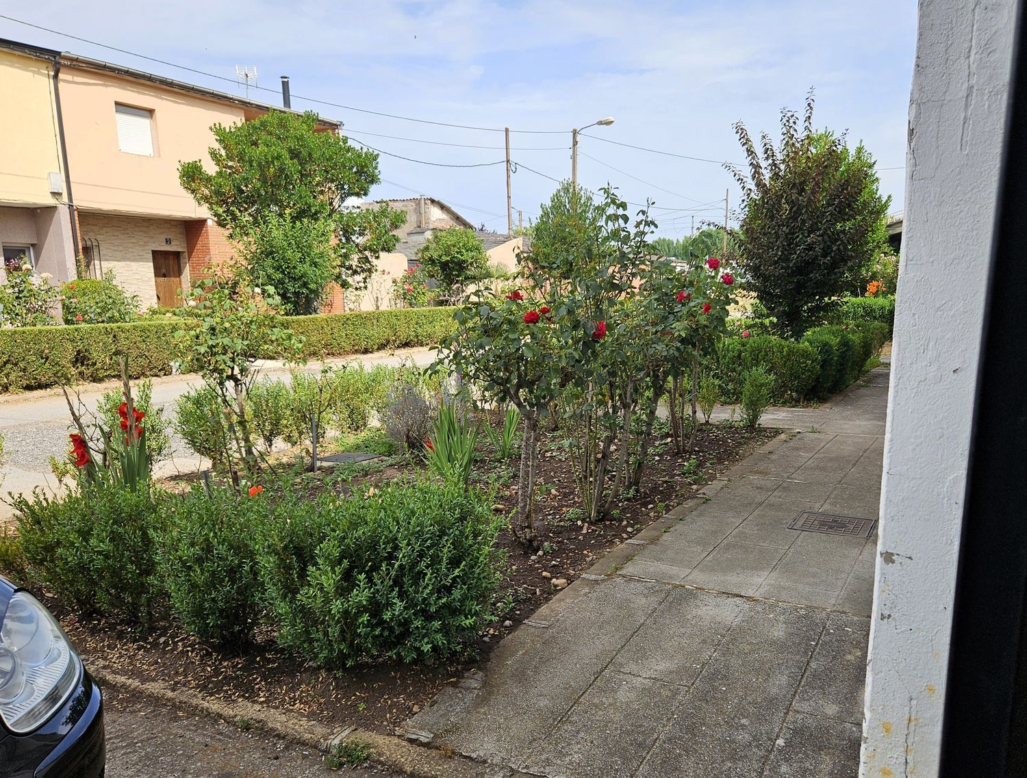 Casas o chalets-Venta-Carracedelo-1974860-Foto-4