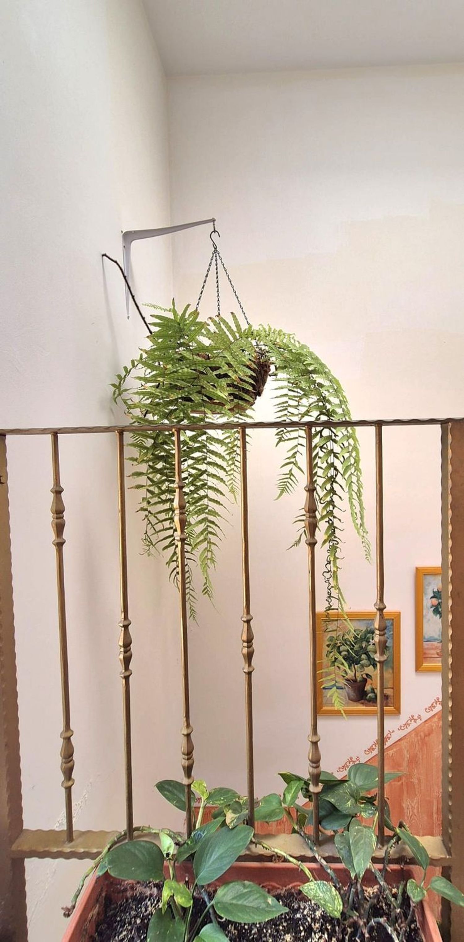 Casas o chalets-Venta-Telde-2091818-Foto-27