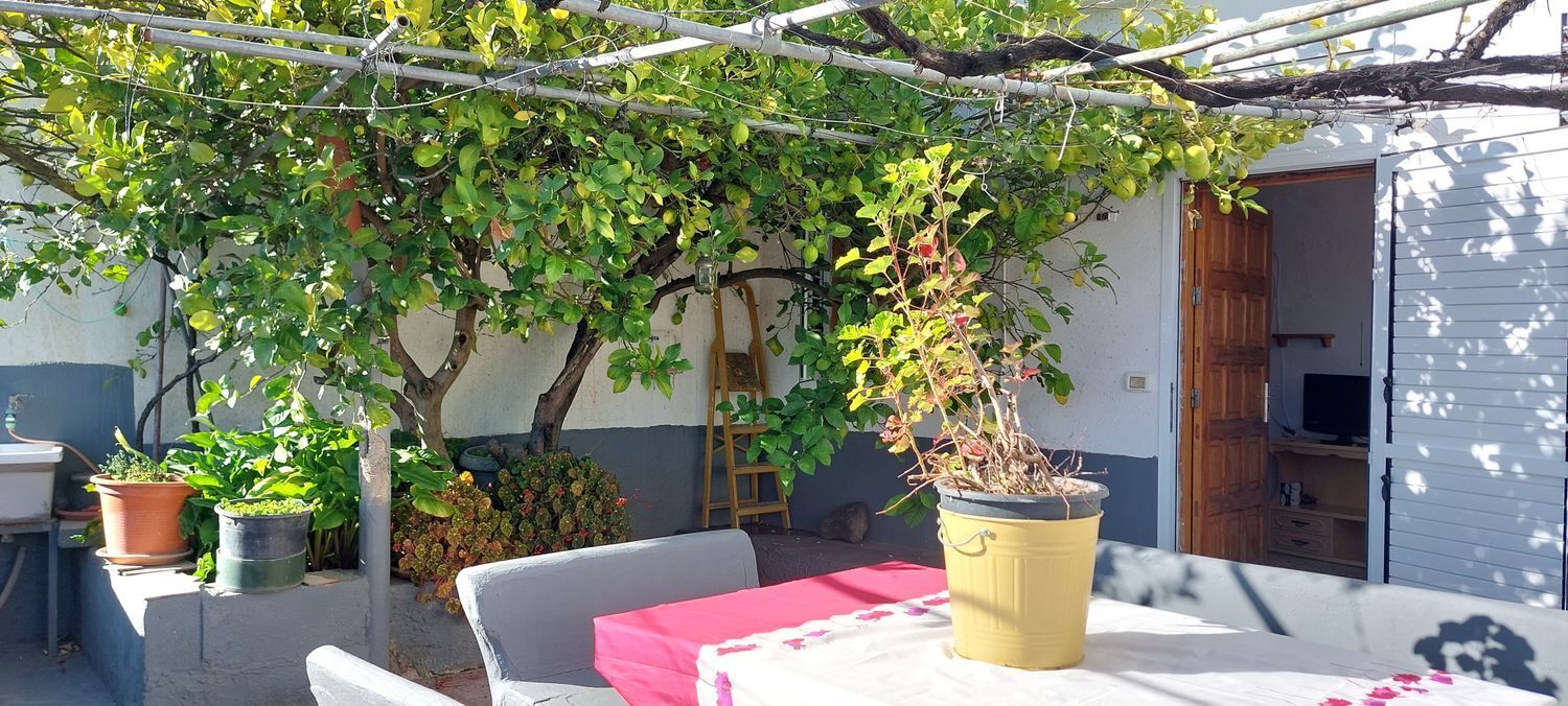 Casas o chalets-Venta-Artenara-1650281-Foto-2