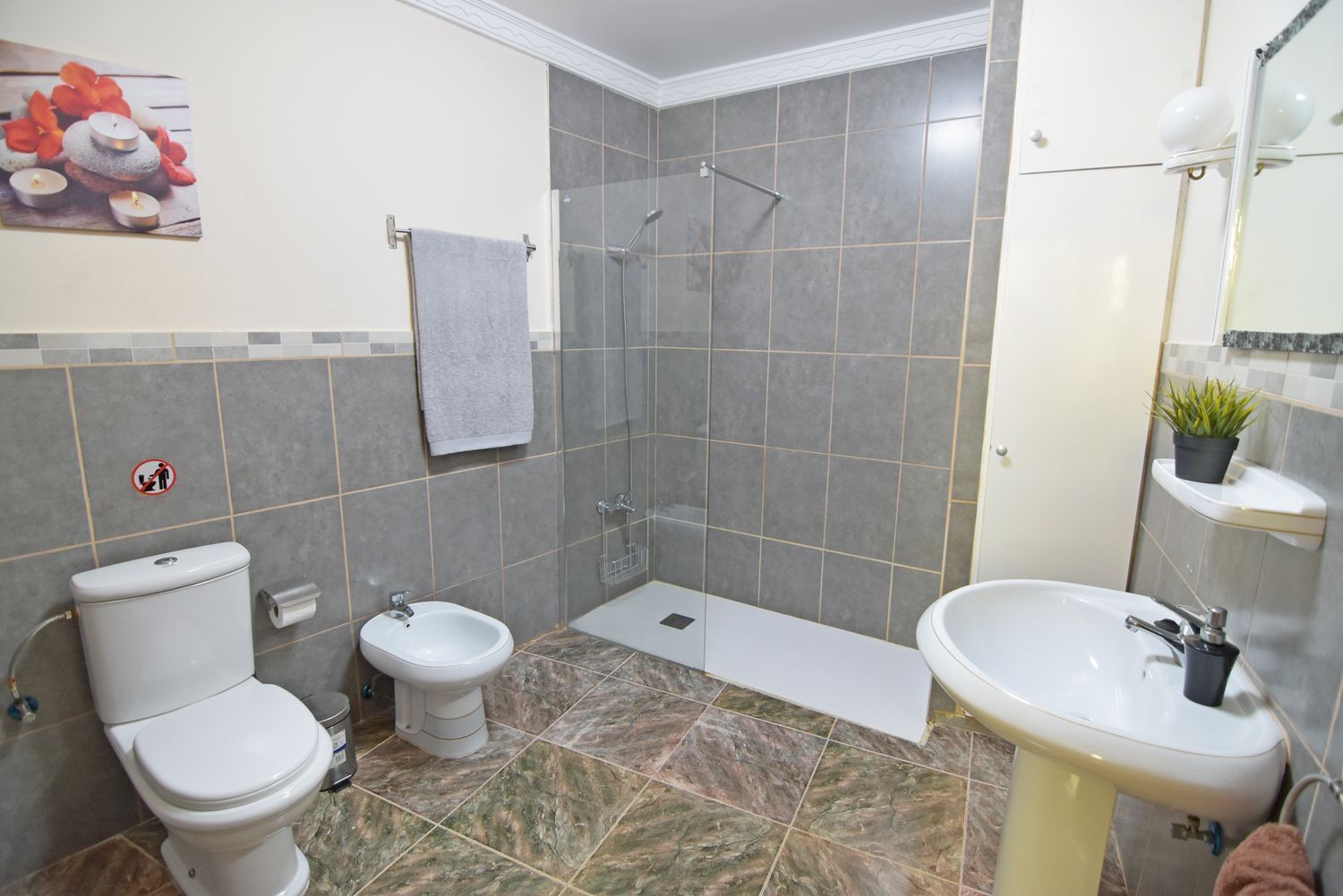 Casas o chalets-Venta-La Aldea de San NicolÃ¡s-1650341-Foto-29