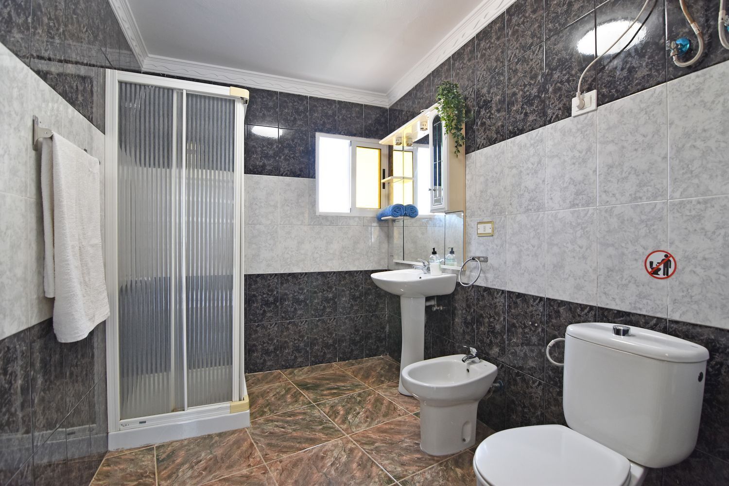 Casas o chalets-Venta-La Aldea de San NicolÃ¡s-1650341-Foto-43
