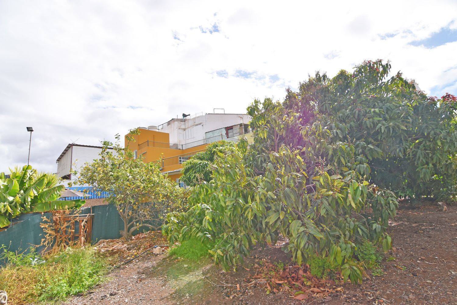 Casas o chalets-Venta-La Aldea de San NicolÃ¡s-1650341-Foto-70