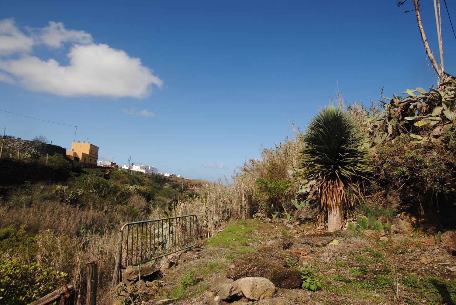 Casas o chalets-Venta-Santa MarÃ­a de GuÃ­a de Gran Canaria-1717056-Foto-9