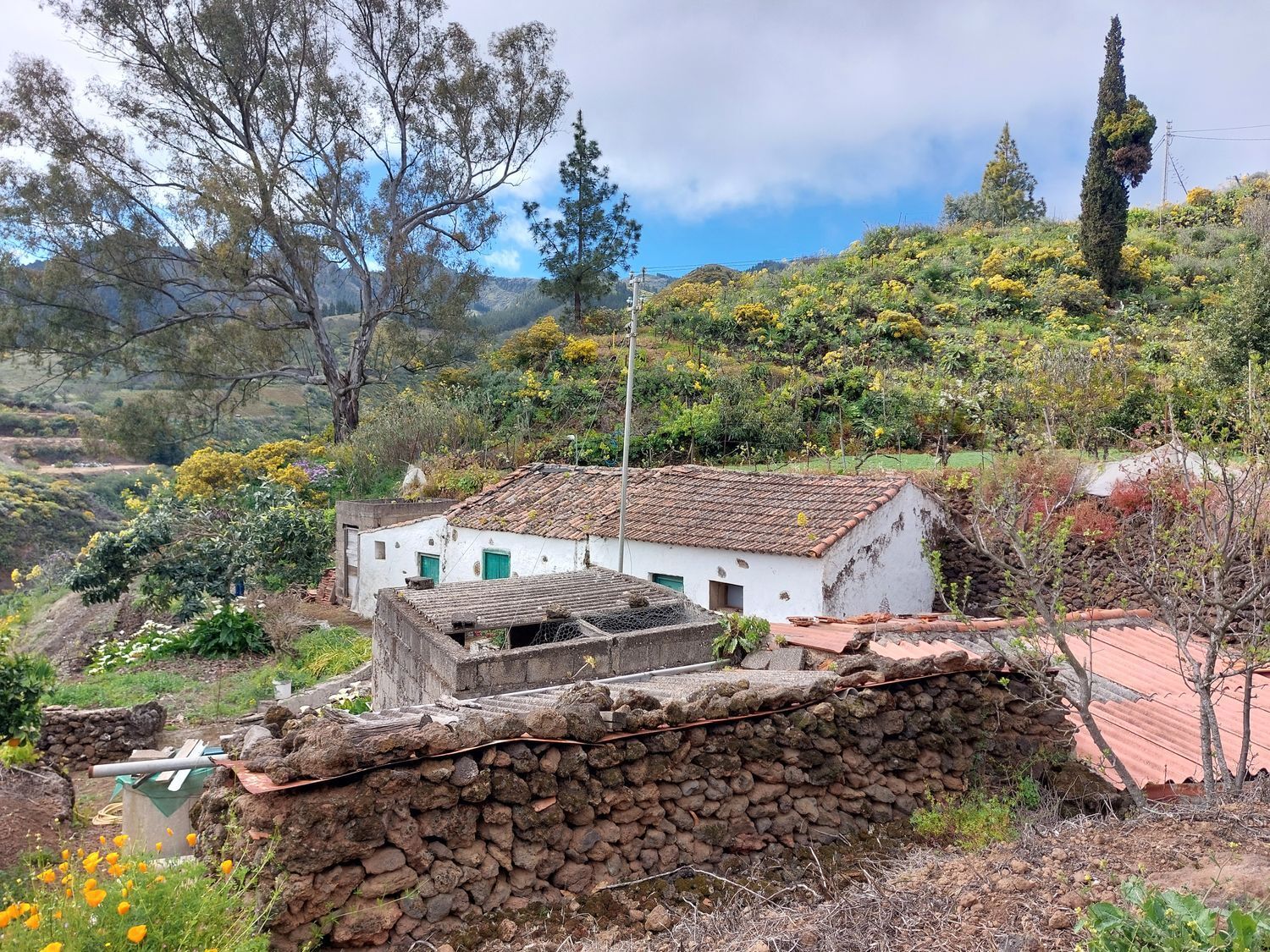 Casas o chalets-Venta-Vega de San Mateo-1720929-Foto-37