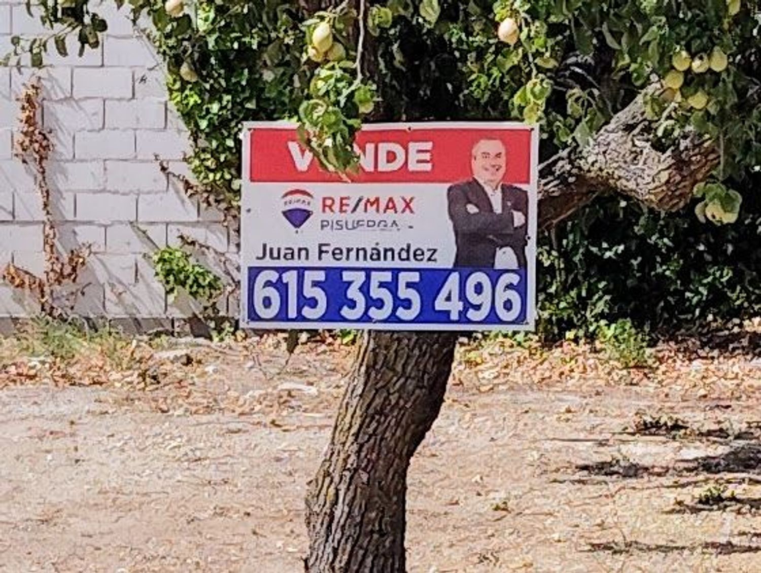 Fincas y solares-Venta-Boecillo-1837294
