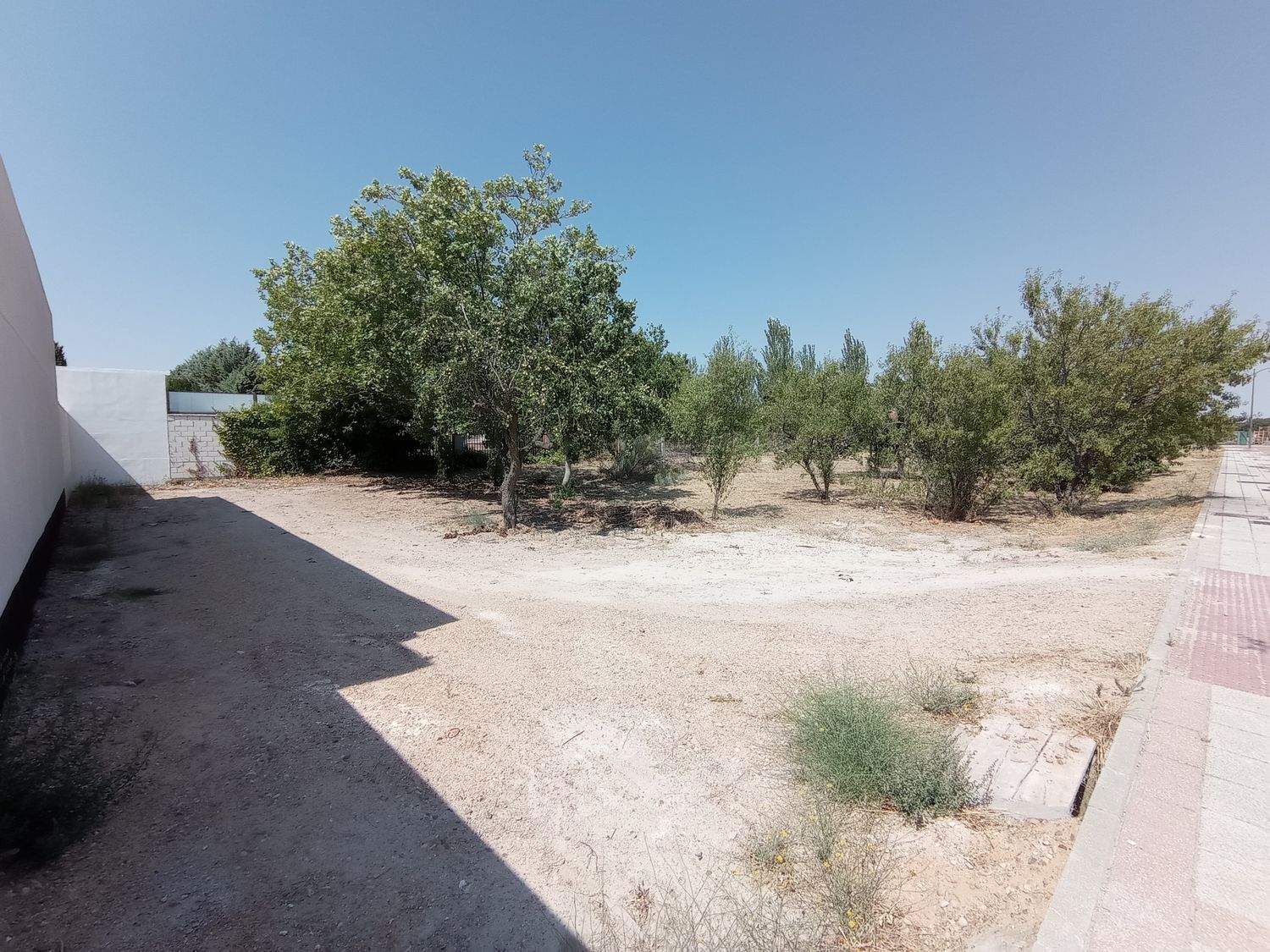 Fincas y solares-Venta-Boecillo-1837294-Foto-4