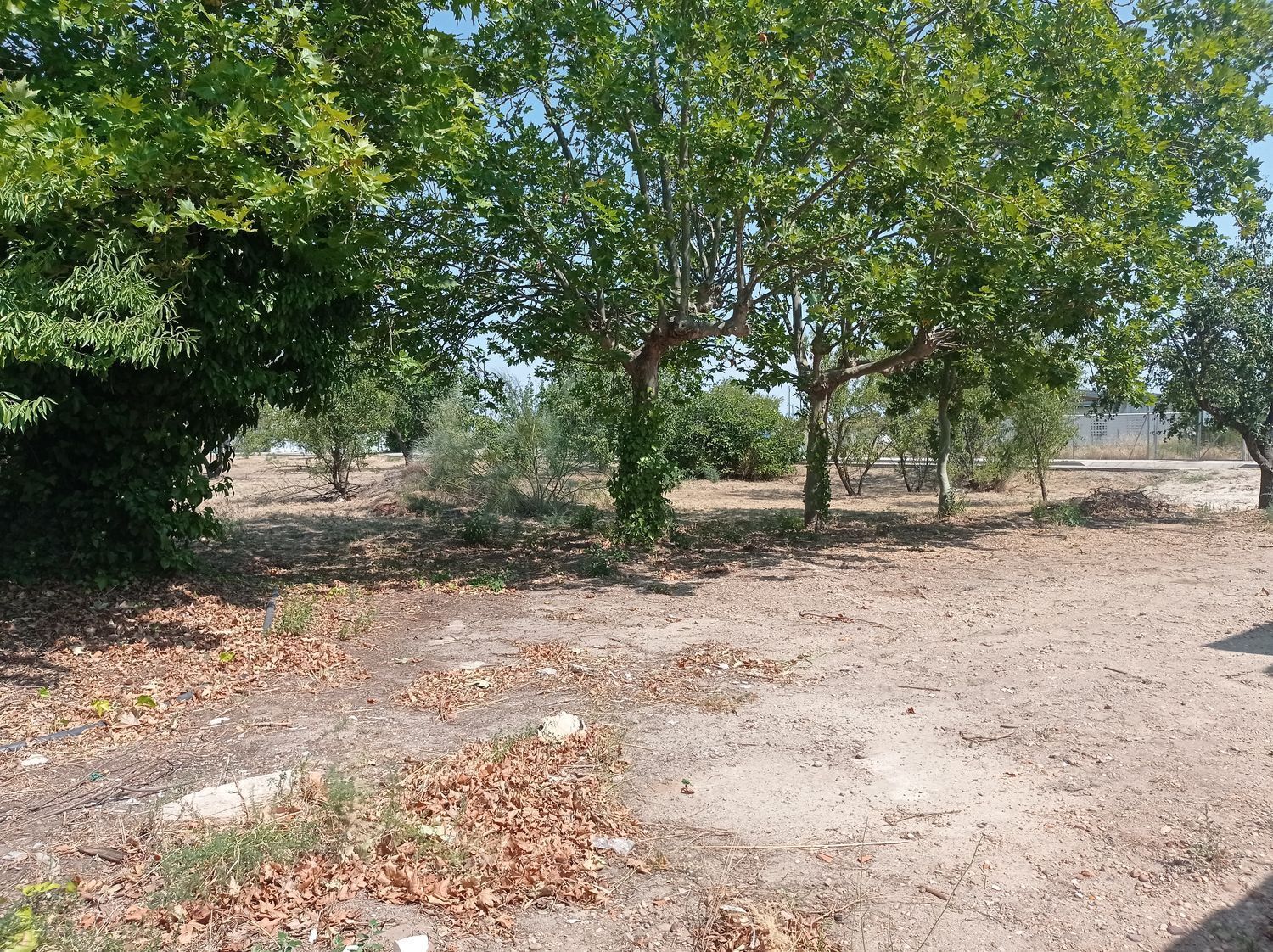 Fincas y solares-Venta-Boecillo-1837294-Foto-13