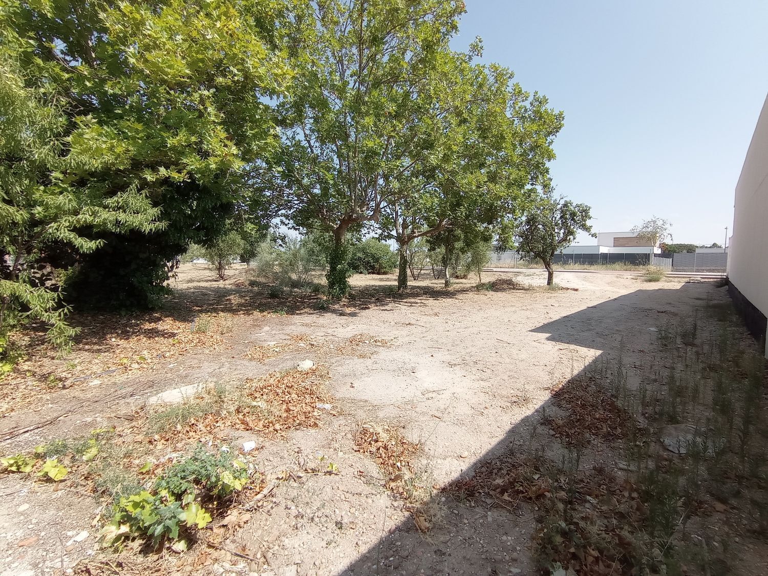 Fincas y solares-Venta-Boecillo-1837294-Foto-15