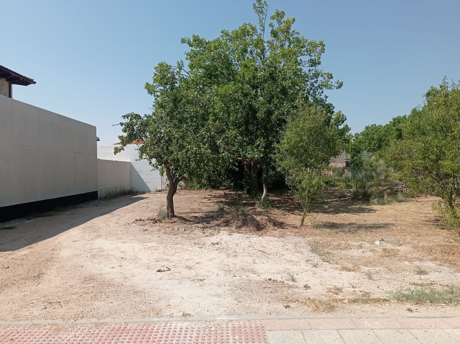 Fincas y solares-Venta-Boecillo-1837294-Foto-9