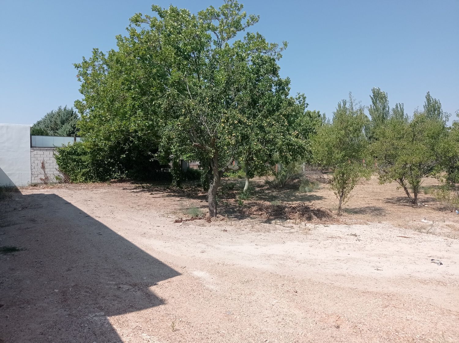 Fincas y solares-Venta-Boecillo-1837294-Foto-11