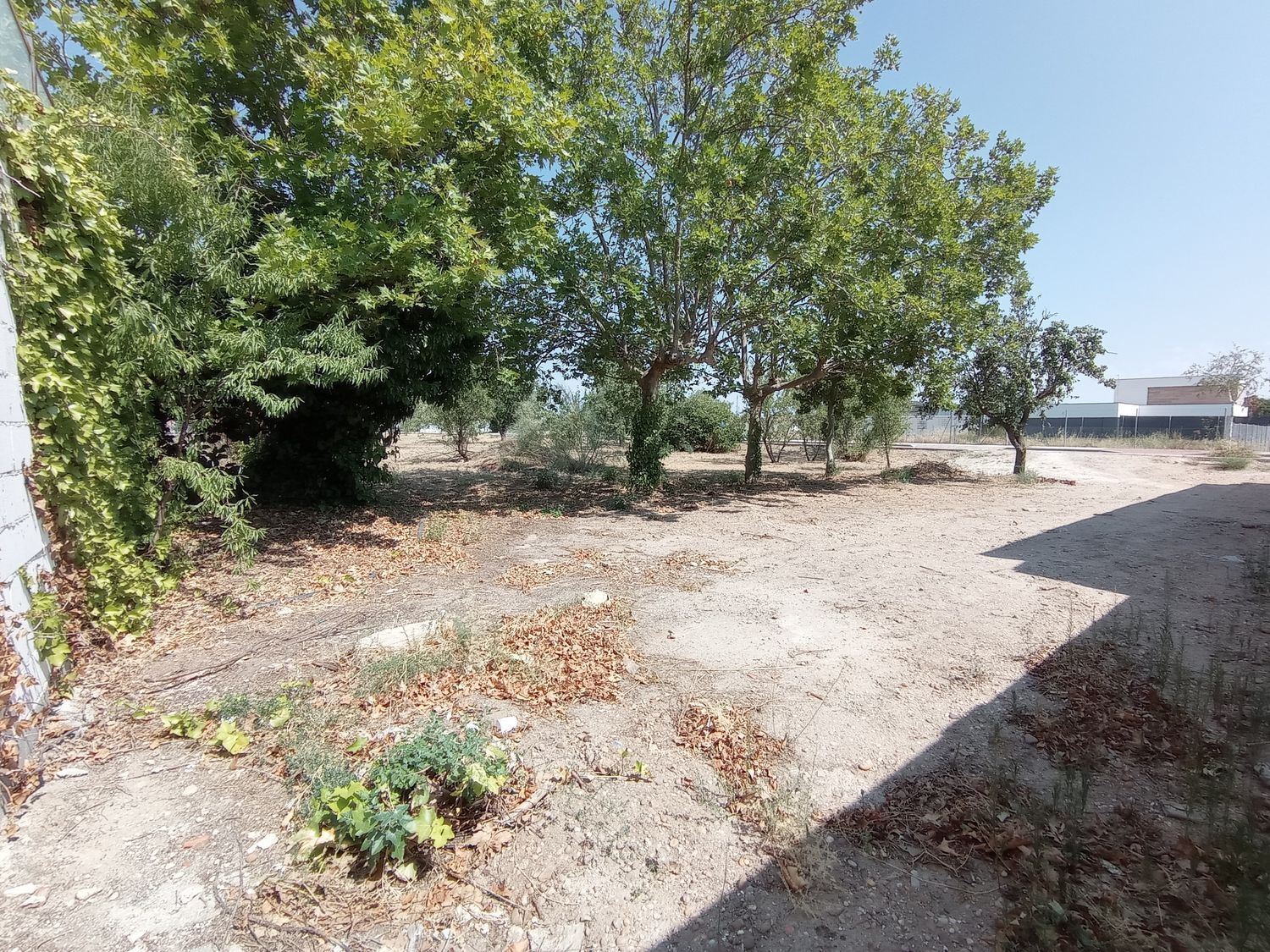 Fincas y solares-Venta-Boecillo-1837294-Foto-16