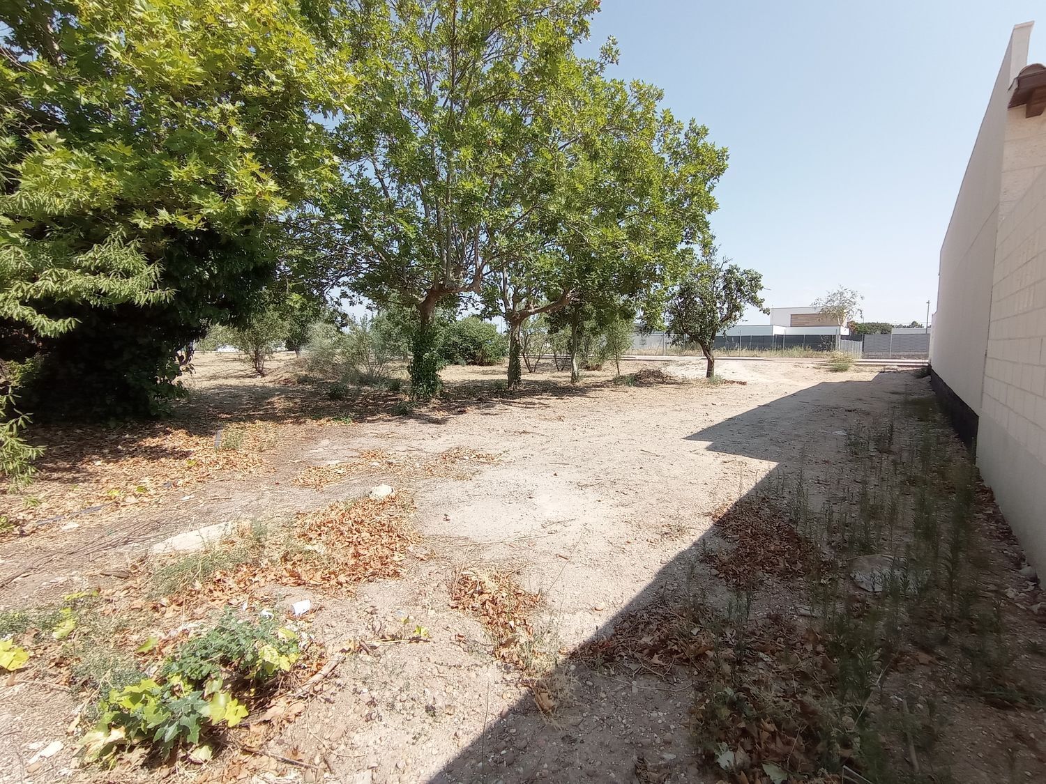 Fincas y solares-Venta-Boecillo-1837294-Foto-17