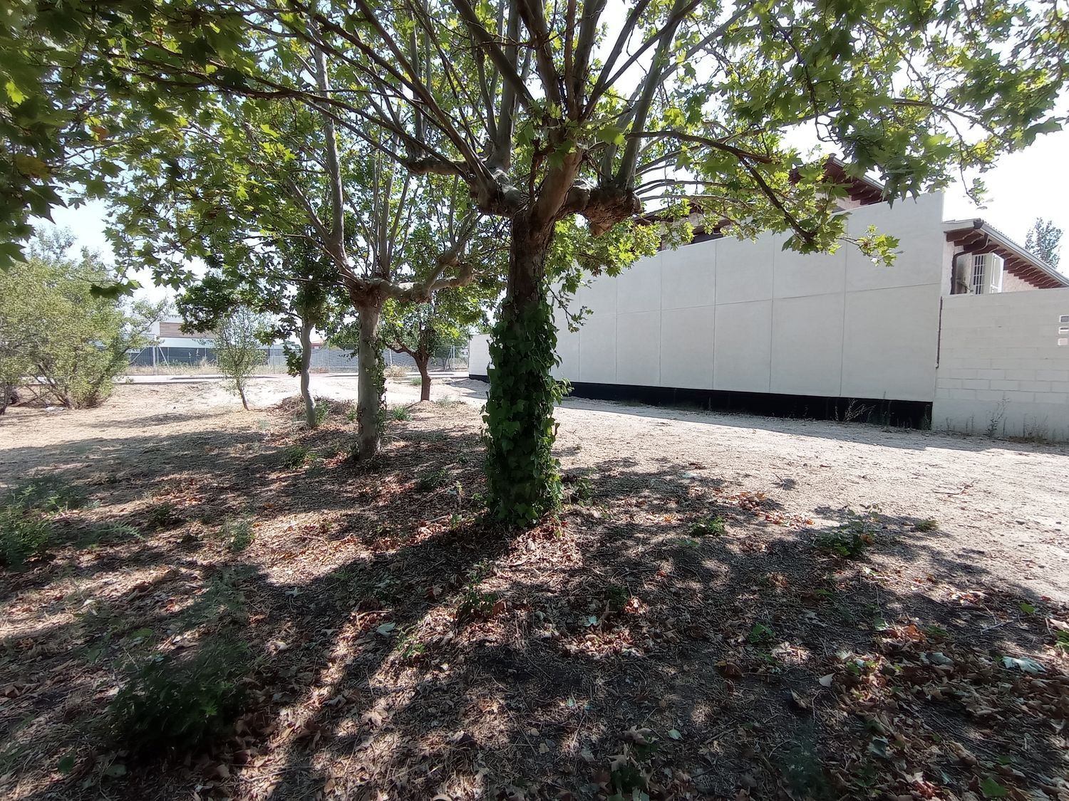 Fincas y solares-Venta-Boecillo-1837294-Foto-18