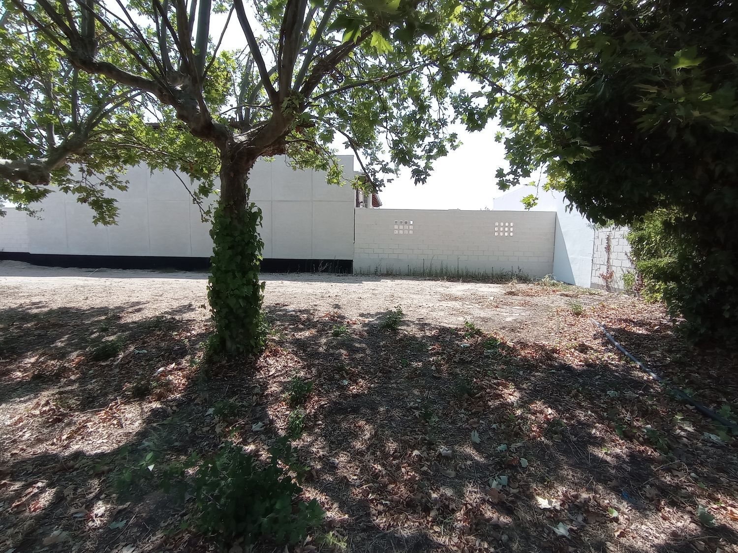 Fincas y solares-Venta-Boecillo-1837294-Foto-19