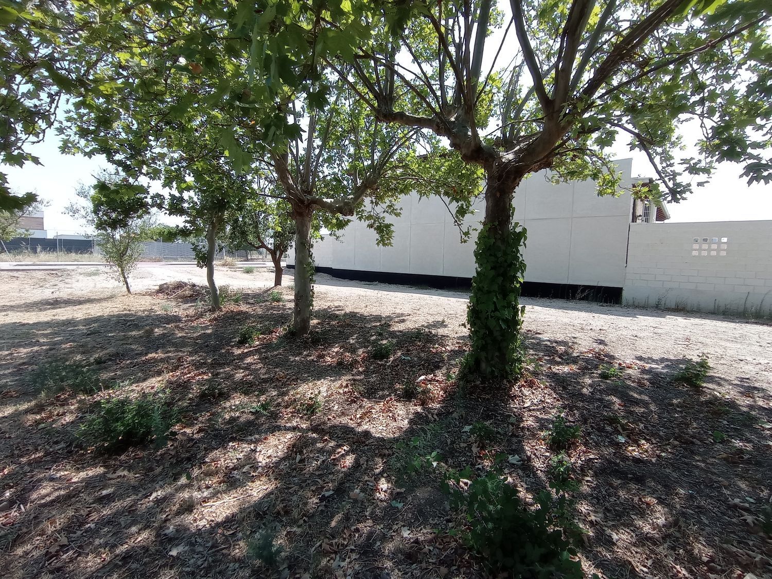 Fincas y solares-Venta-Boecillo-1837294-Foto-20